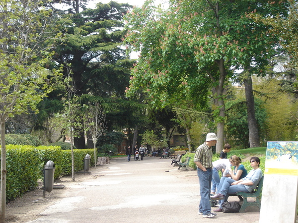 公園實景