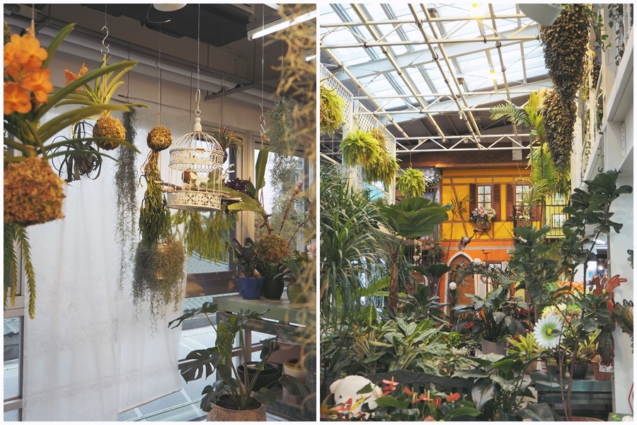 大花說彰化景點美食餐廳菁芳園熱門打卡景點推薦06