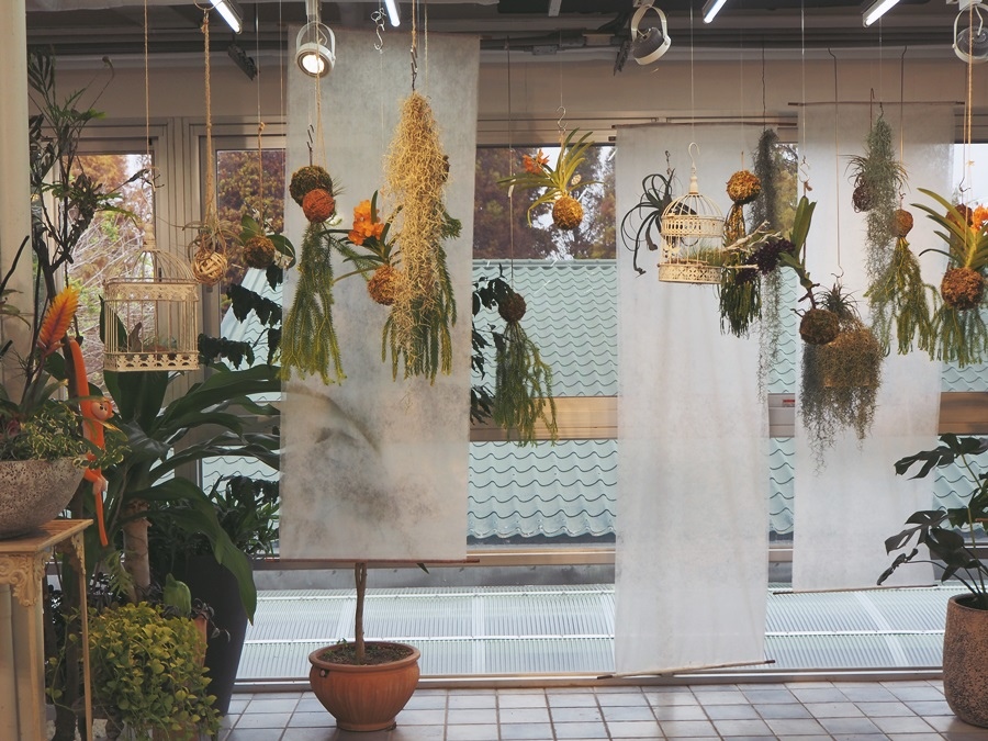 大花說彰化景點美食餐廳菁芳園熱門打卡景點推薦08