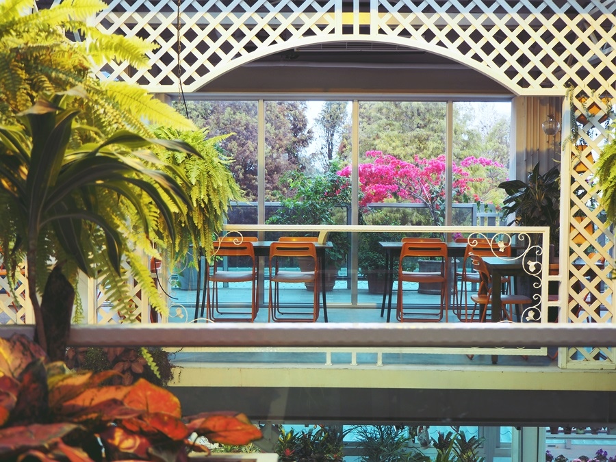 大花說彰化景點美食餐廳菁芳園熱門打卡景點推薦13