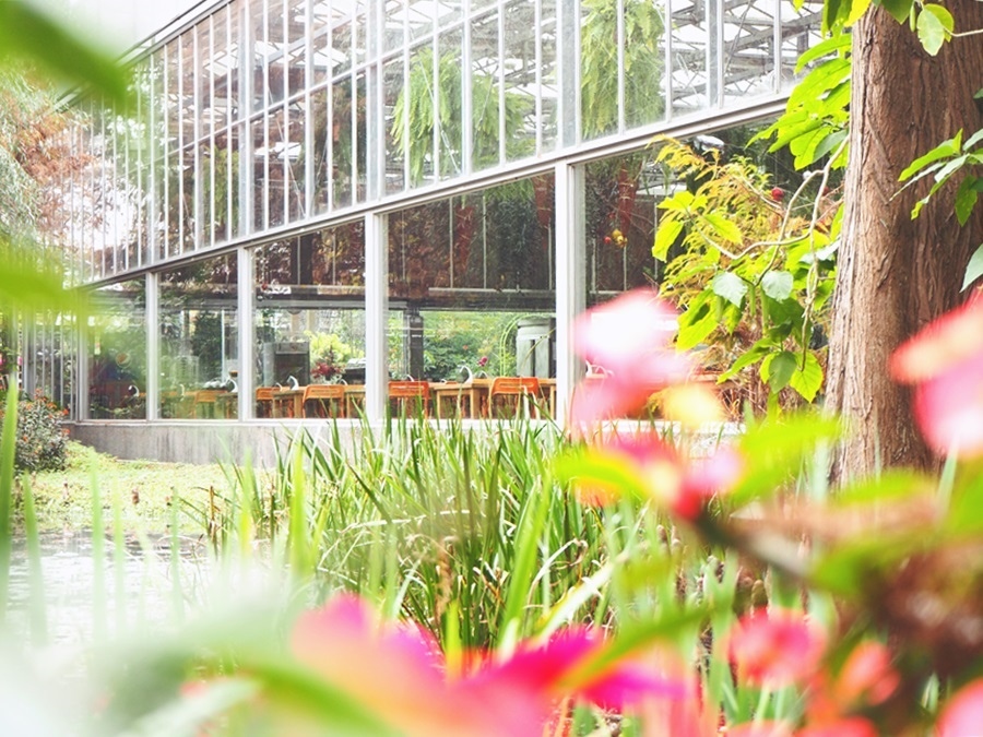 大花說彰化景點美食餐廳菁芳園熱門打卡景點推薦02