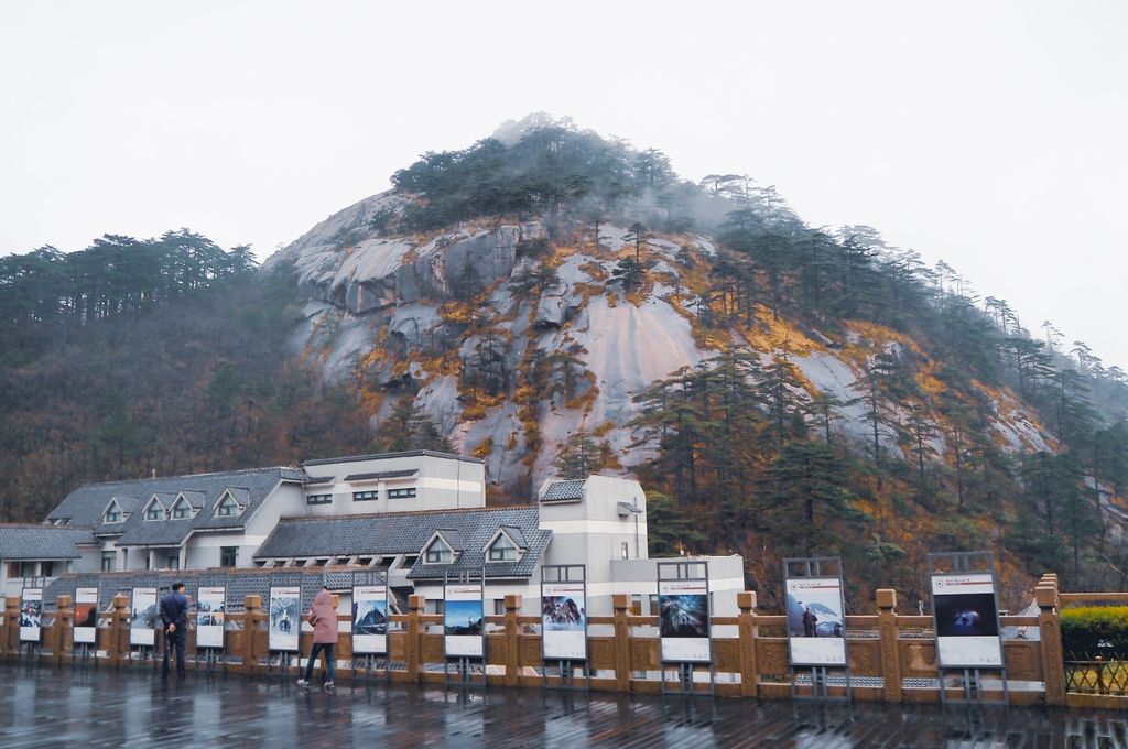 大花說中國大陸旅遊安徽黃山景點五天四夜huangshan跟團行程46