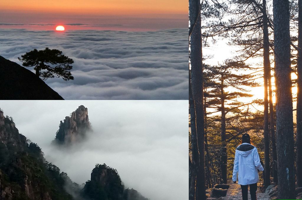 大花說中國大陸旅遊安徽黃山景點五天四夜huangshan跟團行程54