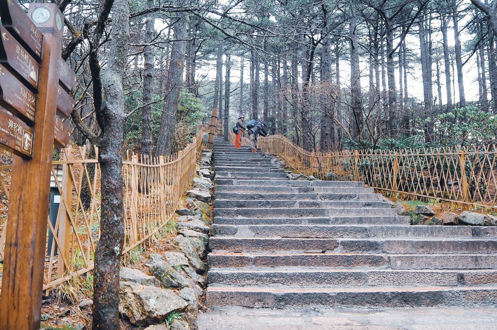 大花說中國大陸旅遊安徽黃山景點五天四夜huangshan跟團行程15