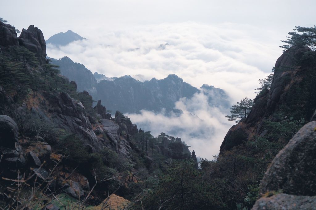 大花說中國大陸旅遊安徽黃山景點五天四夜huangshan跟團行程19