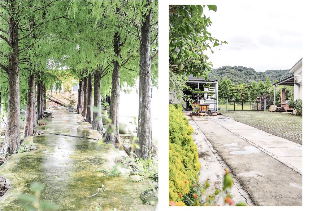 大花說苗栗公館客家合菜餐廳推薦和風食堂和風民宿