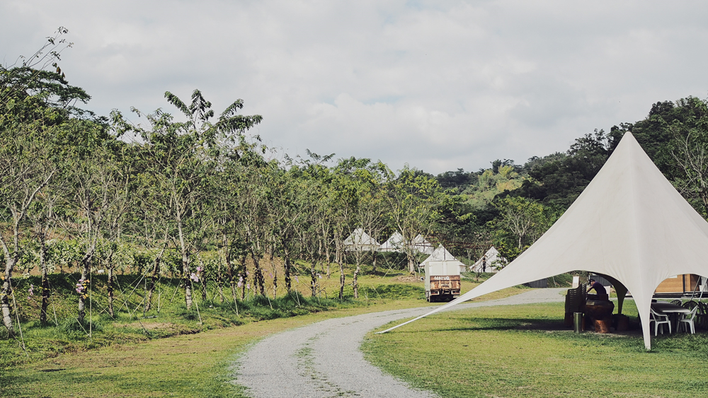 大花說高雄美濃蝶舞澗豪華露營住宿推薦Glamping04.png