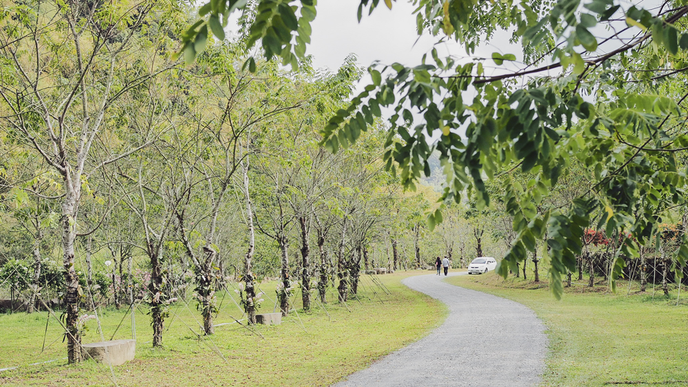 大花說高雄美濃蝶舞澗豪華露營住宿推薦Glamping05.png