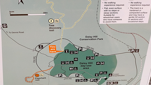 【布里斯本】國家森林公園＜無尾熊保育中心＞～免門票的好去處！