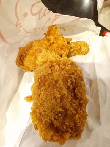 21317992_1652206551465987_1455305885043321735_n