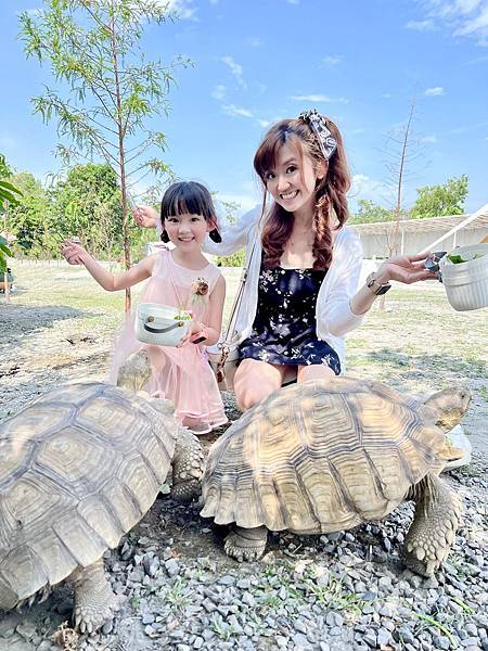【宜蘭景點】慢吞吞農場~蘇卡達象龜、狐蒙、可爾鴨、小浣熊,可 【宜蘭景點】慢吞吞農場~蘇卡達象龜、狐蒙、可爾鴨、小浣熊,可