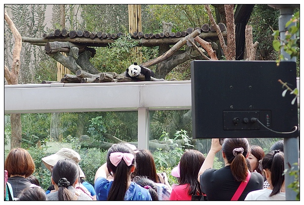 20140330木柵動物園-06.jpg