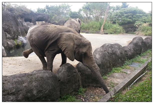 20140330木柵動物園-24.jpg