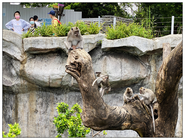 新竹民宿之旅-05.jpg 新竹民宿之旅-05.jpg