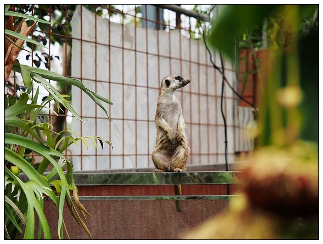 新社野餐趣-09.jpg