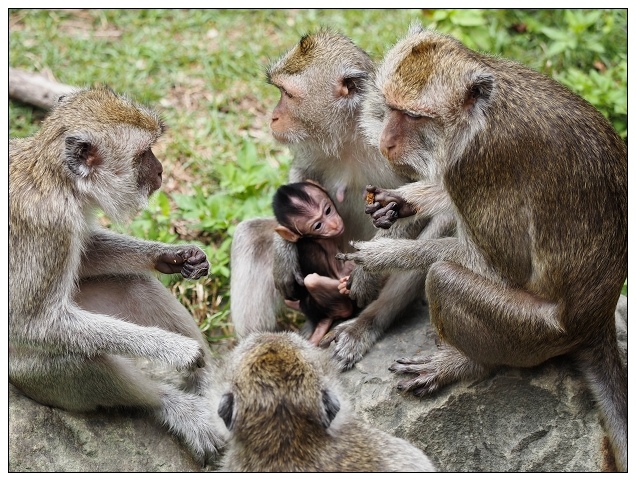 新竹動物園-01.jpg 新竹動物園-01.jpg