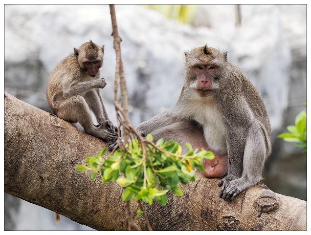 新竹動物園-05.jpg 新竹動物園-05.jpg
