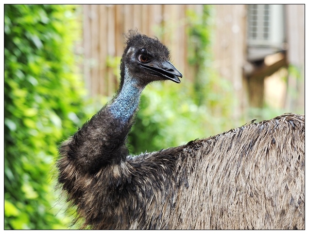 新竹動物園-08.jpg 新竹動物園-08.jpg