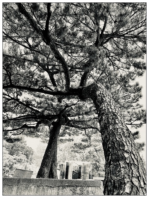 新竹動物園-25.jpg 新竹動物園-25.jpg