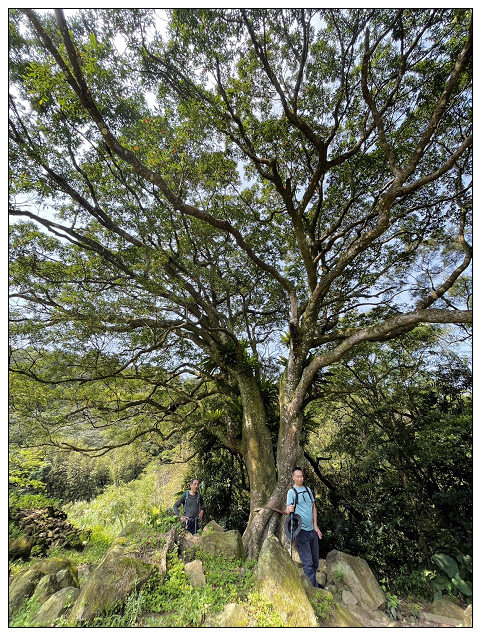 猴山岳步道健走-06.jpg 猴山岳步道健走-06.jpg