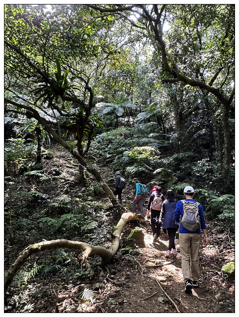 猴山岳步道健走-15.jpg 猴山岳步道健走-15.jpg