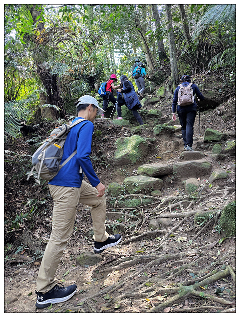 猴山岳步道健走-14.jpg 猴山岳步道健走-14.jpg