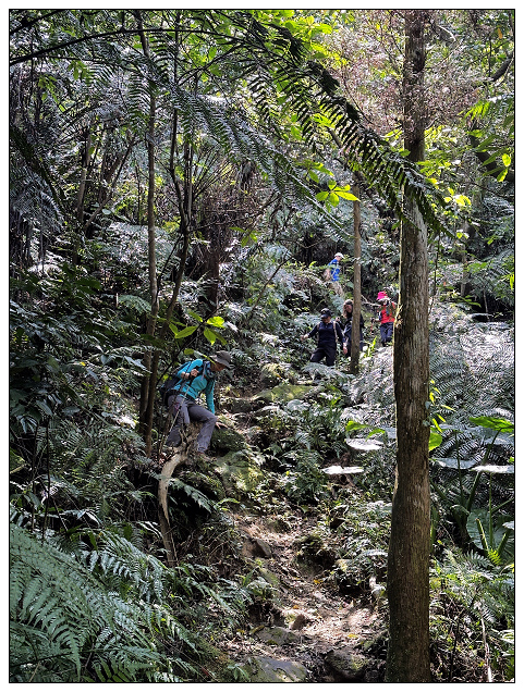 猴山岳步道健走-21.jpg 猴山岳步道健走-21.jpg