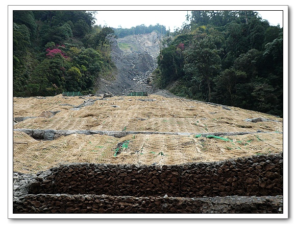 谷關梨山路段08.jpg