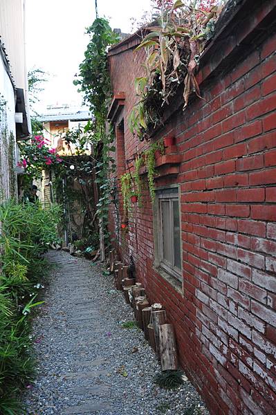 DSC_0495.JPG DSC_0495.JPG