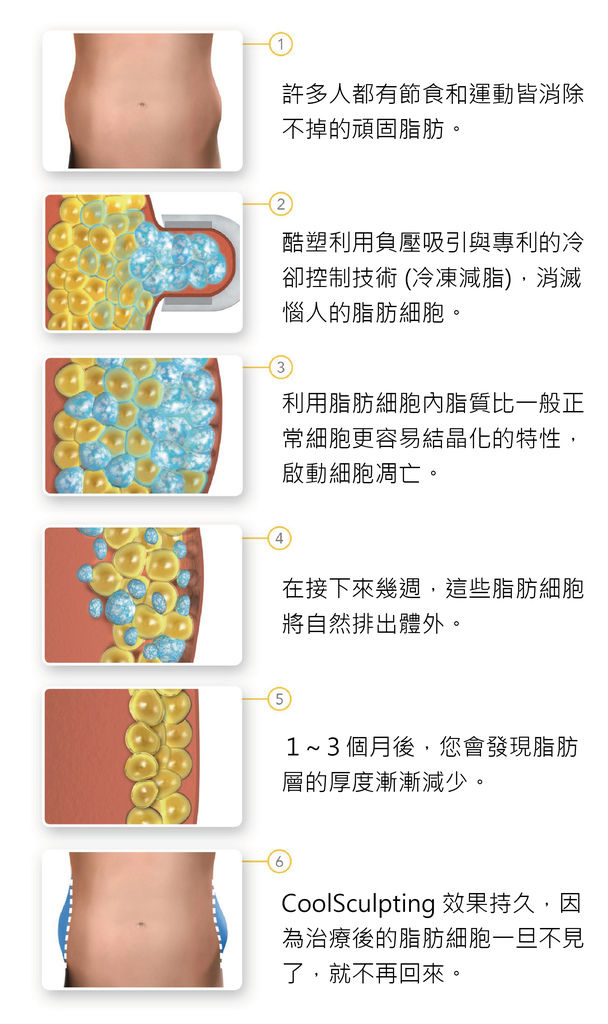 冷冻如何作用