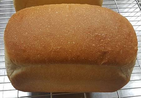 18033113_1658606984153535_7132639156578343262_n.jpg 18033113_1658606984153535_7132639156578343262_n.jpg