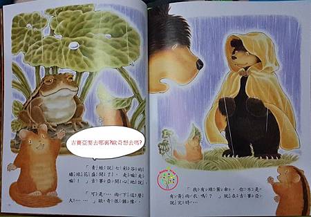 大熊小睡鼠3.jpg 大熊小睡鼠3.jpg