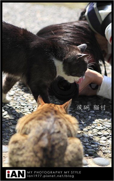 淡水侯硐平溪2日遊15.jpg