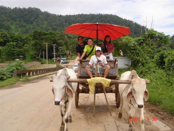 我、安安、康康、馬妞