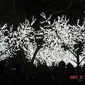 LED樹