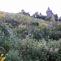 IMG_6663.JPG