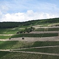 IMG_6725.JPG