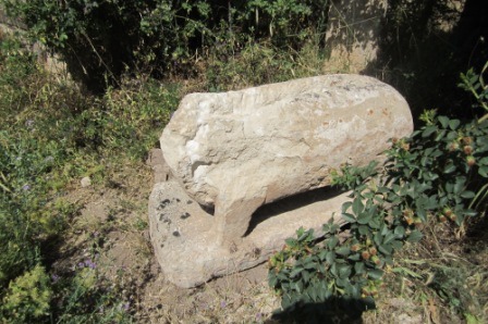 turkey 796.jpg