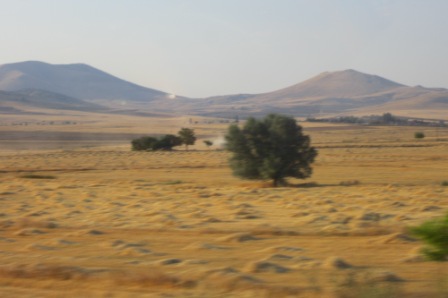 turkey 854.jpg