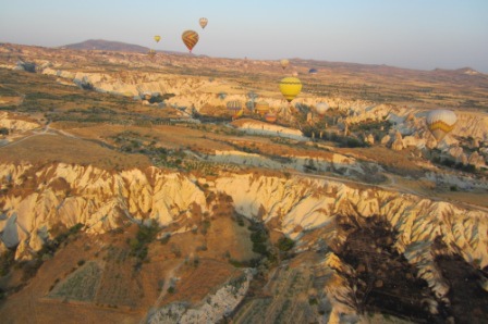 turkey 910.jpg