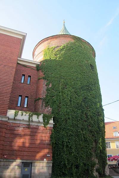 IMG_6562_compressed