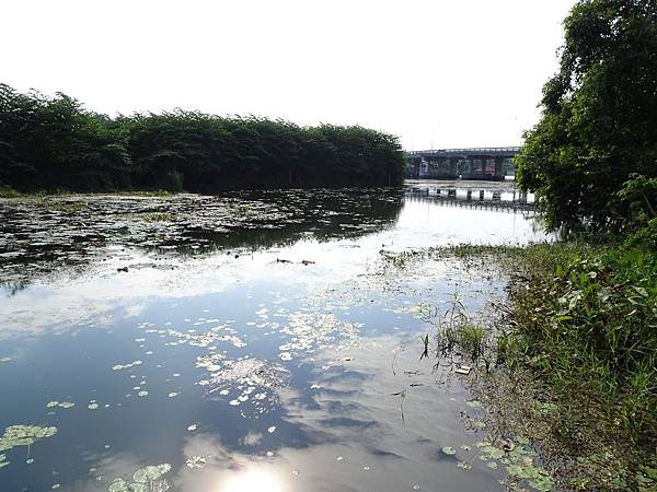 DSC00163.jpg DSC00163.jpg