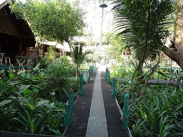 DSC00168.jpg DSC00168.jpg