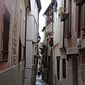 DSC01418.jpg