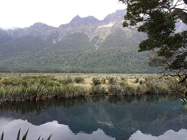 Day 7: Milford Sound