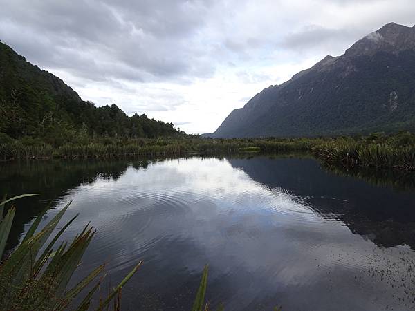 Day 7: Milford Sound