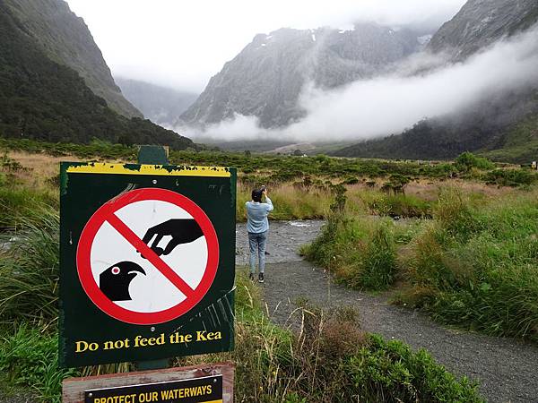 Day 7: Milford Sound