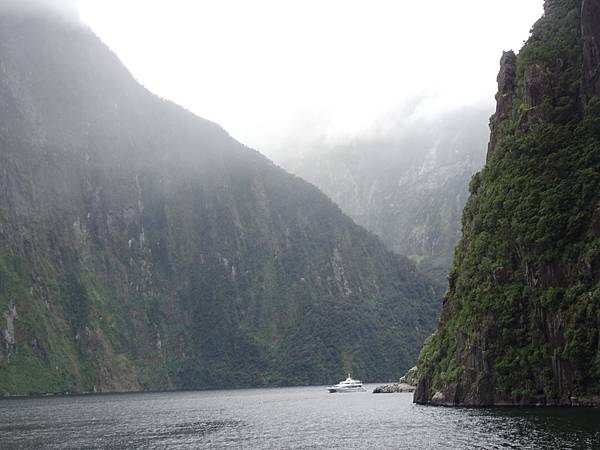 Day 7: Milford Sound