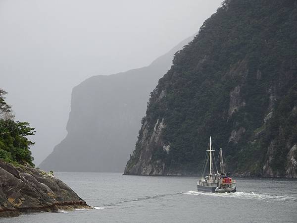 Day 7: Milford Sound