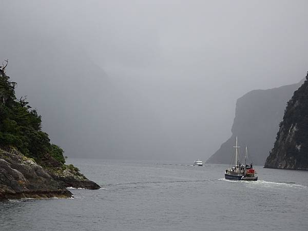 Day 7: Milford Sound